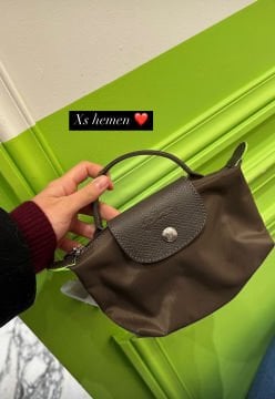 Longchamp Pouch
