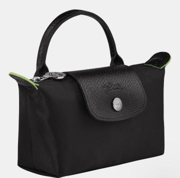 Longchamp Pouch