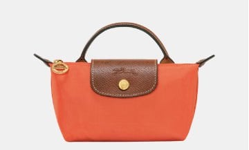Longchamp Pouch